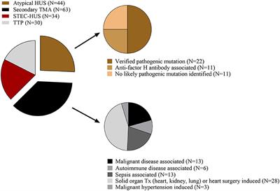 Elevated Systemic Pentraxin-3 Is Associated With Complement Consumption in the Acute Phase of Thrombotic Microangiopathies